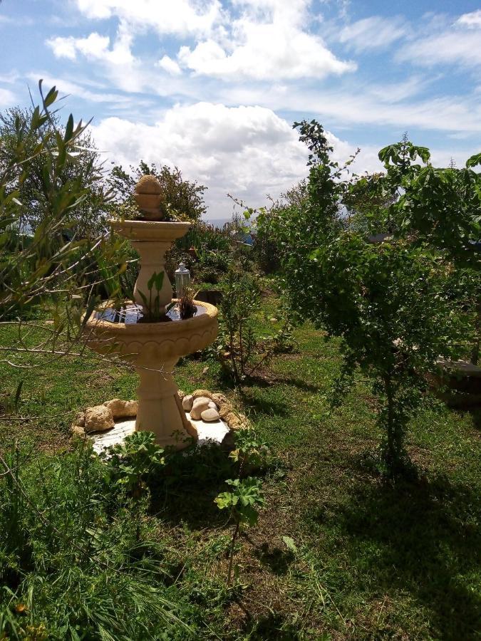 B&B La Gallinella Rossa Baschi Ngoại thất bức ảnh