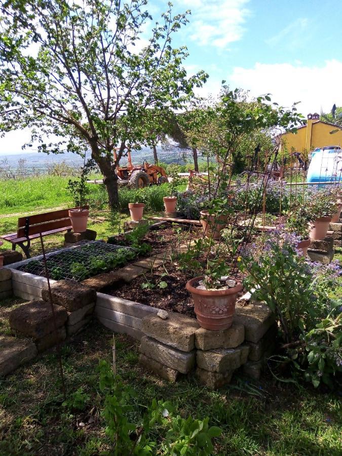 B&B La Gallinella Rossa Baschi Ngoại thất bức ảnh